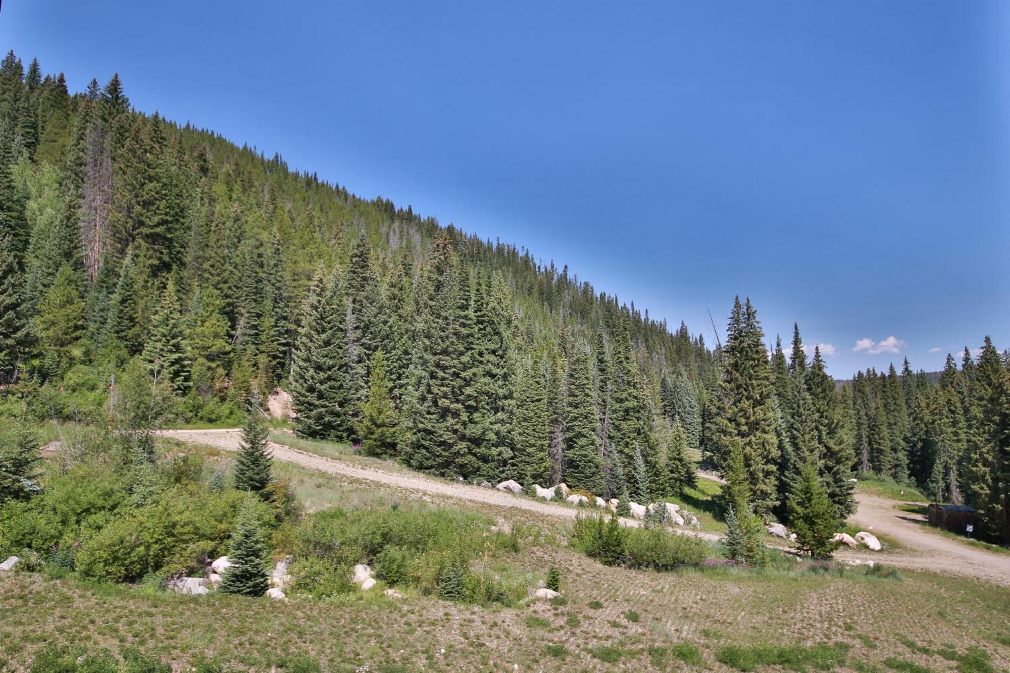 Iron Horse Resort วินเทอร์พาร์ค ห้อง รูปภาพ
